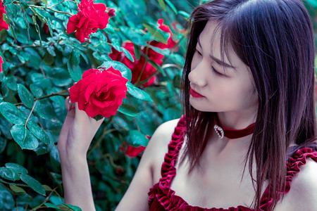 当“放牛上山”遇“老虎下山” 如何两全？